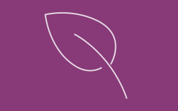 Symbol Blatt